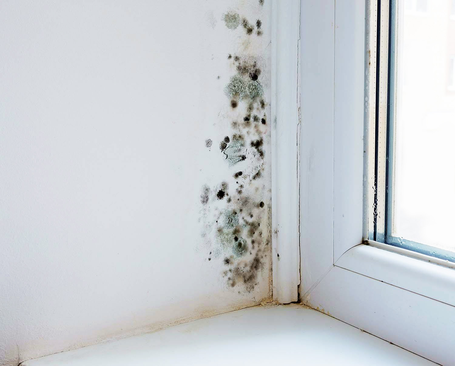 Condensation and mould growth in your home